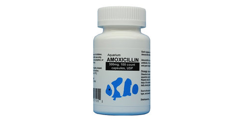 Fish Mox Forte Amoxicillin 500MG - 100 COUNT
