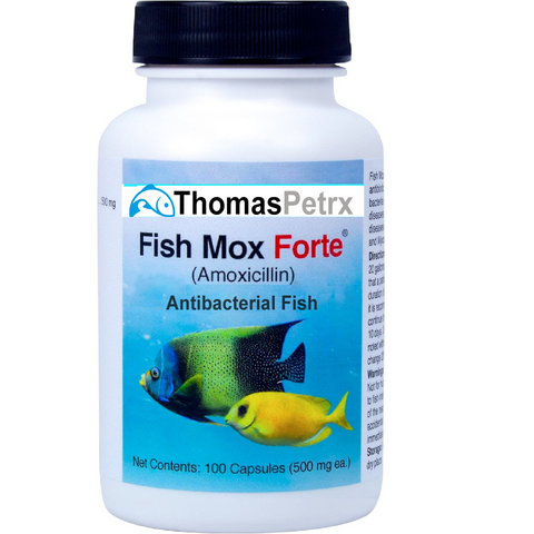 Amoxicillin Forte 500 mg For Fish, Capsule - 100 count - Dambshop