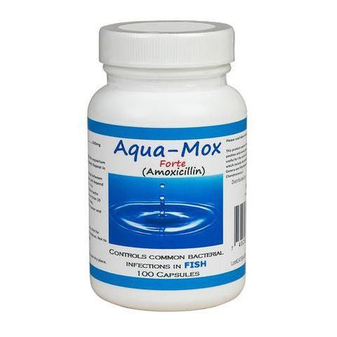 Midland Vet Services Aqua-Mox Forte Amoxicillin Fish Antibiotic, 100 count - Dambshop